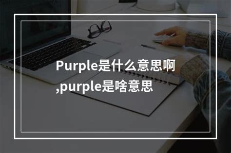 purple意思